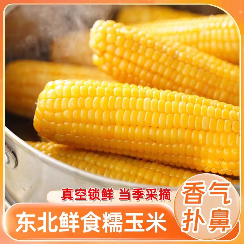 淘天然黄糯玉米新鲜玉米真空包装加热即食黏玉米开袋传统东北当季