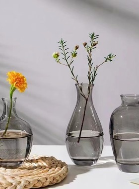 简约玻璃花瓶高级感ins风透明水养鲜花水培客厅迷你插花装饰摆件
