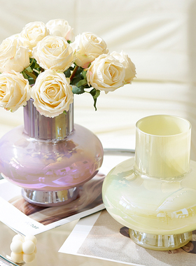 ins奶油风玻璃花瓶客厅餐桌水培插花玫瑰简约居家装饰摆件高级感