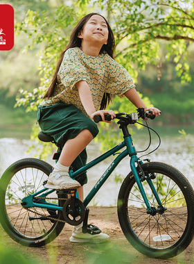 凤凰精品儿童自行车6-12岁中大童14岁山地车男女孩铝合金超轻图灵