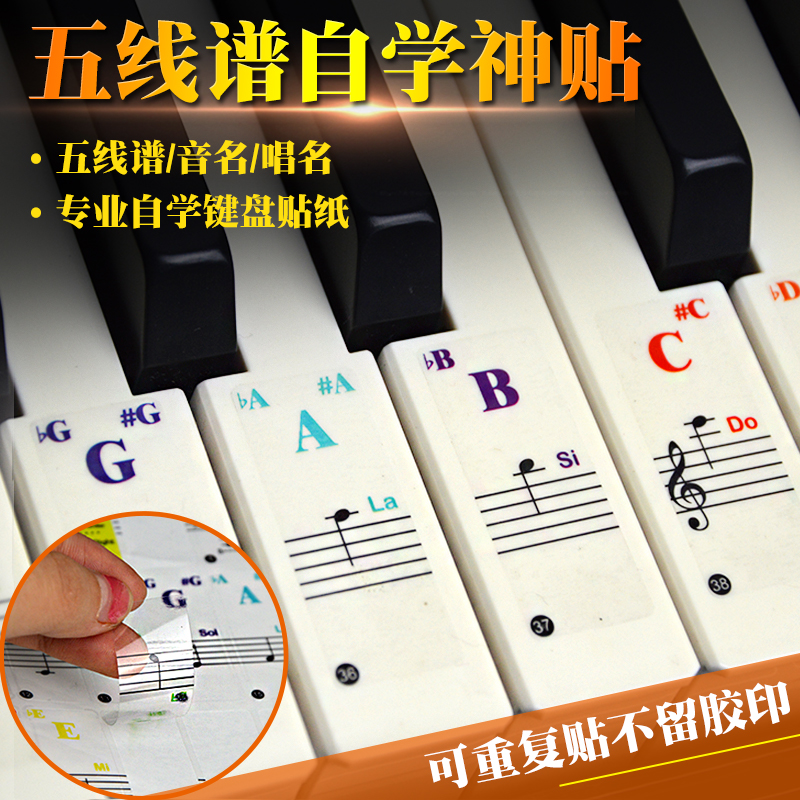 五线谱自学钢琴键盘贴纸透明贴膜电子琴手风琴37彩色61辅助88配件