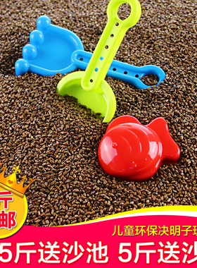 儿童决明子玩具沙池套装家用枕芯宝宝沙滩玩沙子大颗粒仿瓷沙室内