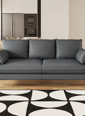 小户型客厅双人三人位直排沙发2024新款休息区接待卧室出租屋简易