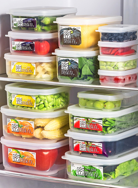 日本进口冰箱收纳盒塑料水果保鲜盒冷冻食品专用储物盒食物密封盒