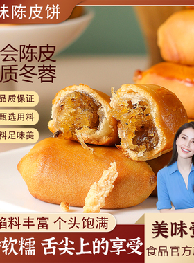 新会陈皮饼广东土特产地方特色冬蓉传统手工零食小吃美食休闲食品