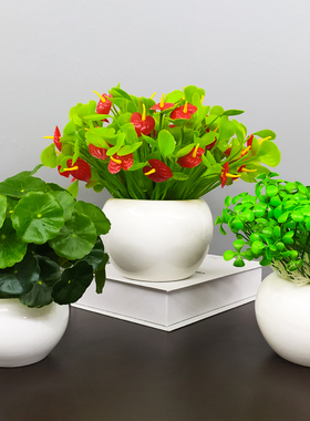 仿真花塑料假花陶瓷绿植物装饰品客厅家居桌面摆设多肉小盆栽摆件