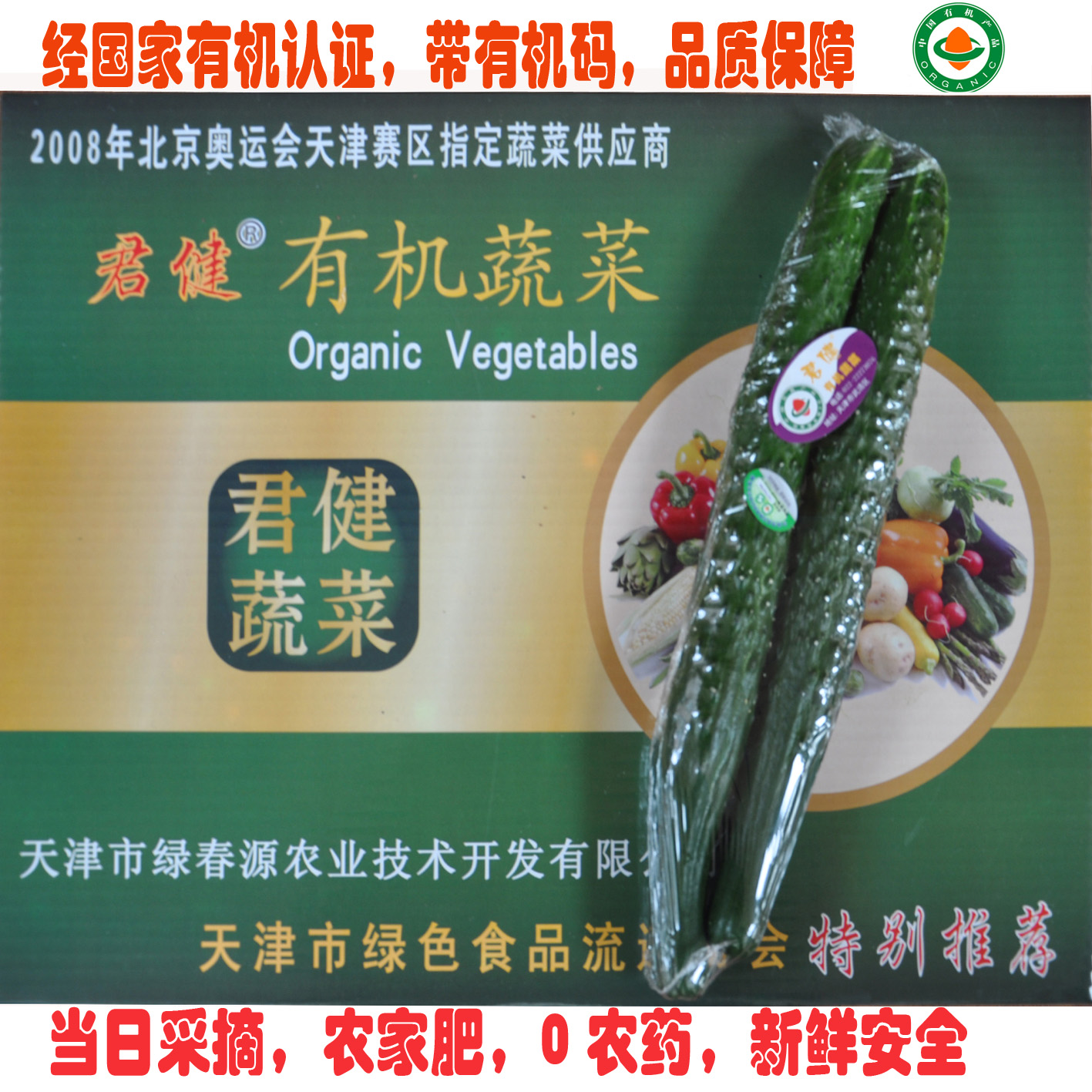 生鲜蔬菜 长黄瓜 绿黄瓜 有机蔬菜天津 同城配送 无农药食用