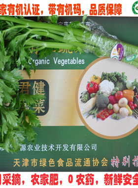 生鲜蔬菜 有机食品芹菜 香芹有机蔬菜天津同城配送 有机肥无农药