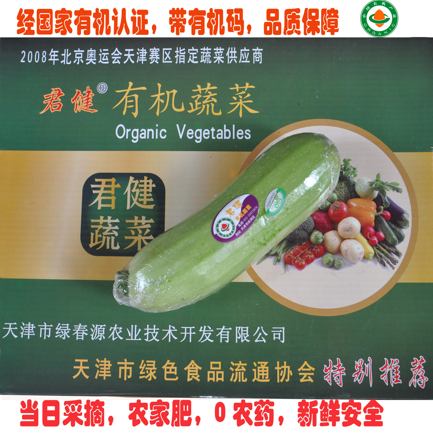生鲜蔬菜 有机食品 西葫芦  有机蔬菜天津 同城配送 有机肥无农药