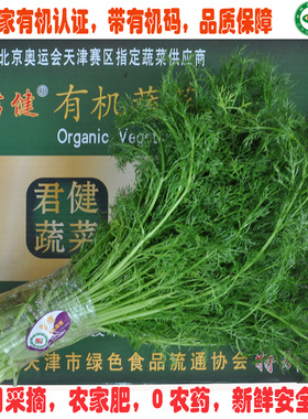 生鲜蔬菜 有机食品 茴香菜 茴香苗 有机蔬菜天津 同城配送 无农药