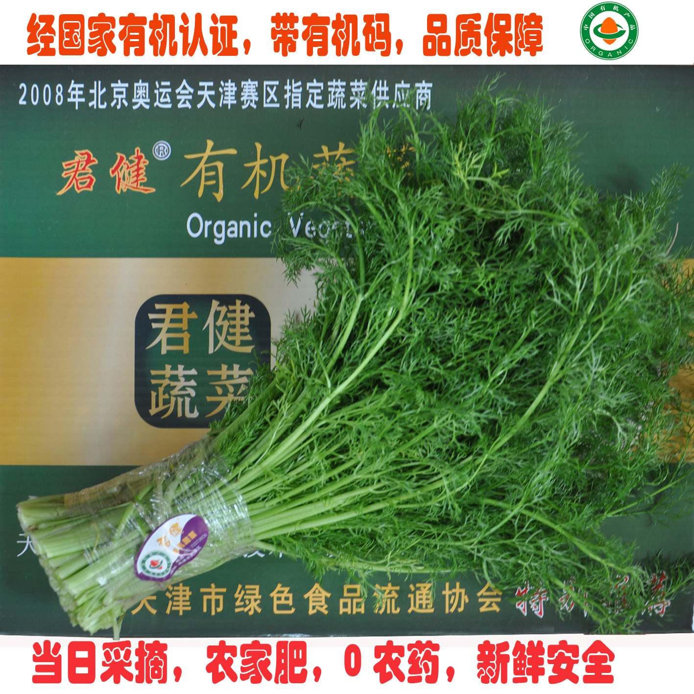 生鲜蔬菜 有机食品 茴香菜 茴香苗 有机蔬菜天津 同城配送 无农药