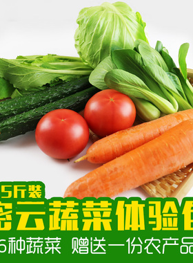 北京同城配送 密云蔬菜新鲜组合 当季整箱 叶菜类生鲜 西红柿黄瓜