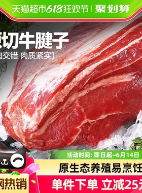 大希地牛腱子1kg生鲜牛肉牛腿肉健身代餐烧烤火锅食材