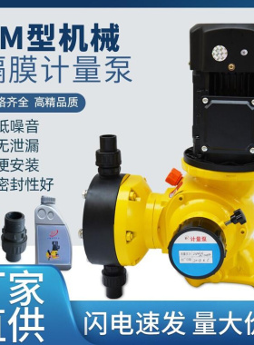 GM型隔膜计量泵加药泵耐腐蚀耐酸碱泵米顿罗柱塞式流量泵污水处理