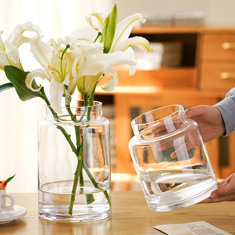北欧ins风玻璃花瓶透明水养插花玫瑰百合花专用客厅餐桌装饰摆件