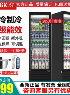 星星310/360WYPE冷藏风冷展示柜保鲜啤酒饮料柜商用超市立式冰柜