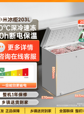 小米米家冰柜203升家商两用小型冷柜单温冷藏冷冻卧式冰箱节能