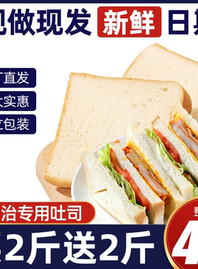 三明治专用吐司面包整箱早餐切片黑全麦面包健康代餐零食小吃学生