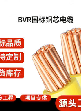 东一江电线电缆ZC-BVR1.5/2.5/4/6/10平方国标家装纯铜阻燃线16ZC