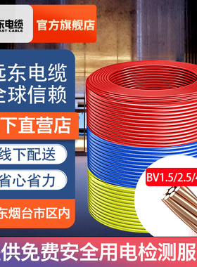 远东电缆阻燃BV1.5/2.5/4/6平方国标家装单芯铜电线阻燃线下提货