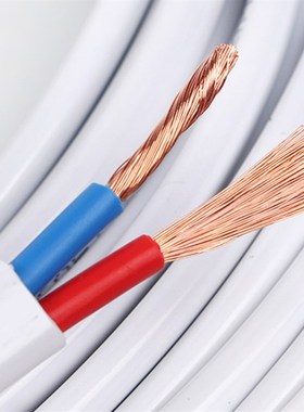 远东电缆电线10米家装国标BVVB2芯 RVV3芯铜芯零剪软电源线不退换