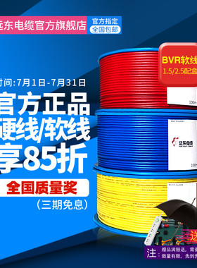 远东电线电缆阻燃BV1.5/2.5/4/6平方电缆纯铜芯国标家装铜线100米