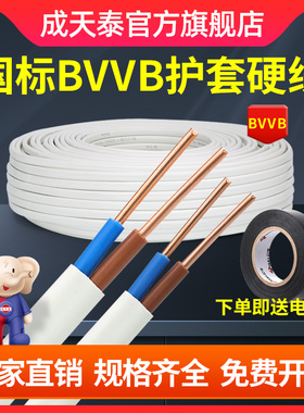 成天泰电缆国标铜芯2芯4平方软护套线BVVB白扁线家装明线电线家用
