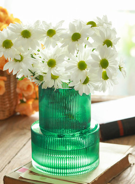 花时间《植觉》美式竖条纹大口水培玻璃花瓶家装摆件装饰鲜花绿植