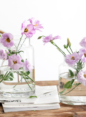 花时间《时光》美式大口鲜花绿植水培桌面玻璃花瓶家装饰品客厅