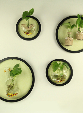 创意壁挂墙面圆形装饰水培植物玻璃花瓶客厅照片墙装饰简约现代
