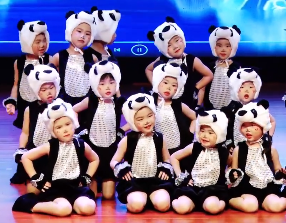 小熊猫演出服儿童动物表演服装卡通国宝熊猫衣服幼儿园舞蹈服连体