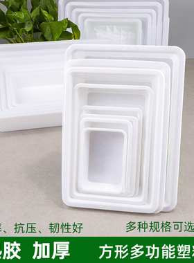 塑料长方形白色小盒子麻辣烫食品超市展示盒收纳盒冷柜冰盘保鲜盒