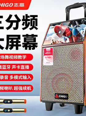 志高广场舞视频音响家用K歌户外大音量三分频喇叭拉杆木箱低音炮