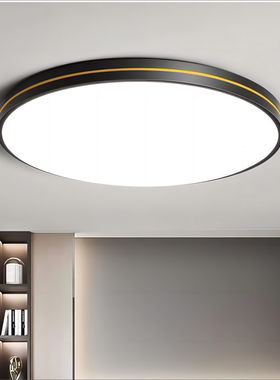 LED吸顶客厅灯卧室灯具2024新款简约现代家用房间阳台防蚊虫灯饰