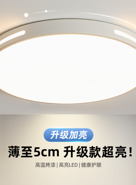 2024年新款主卧室灯LED吸顶灯简约现代大气圆形阳台客厅房间灯具
