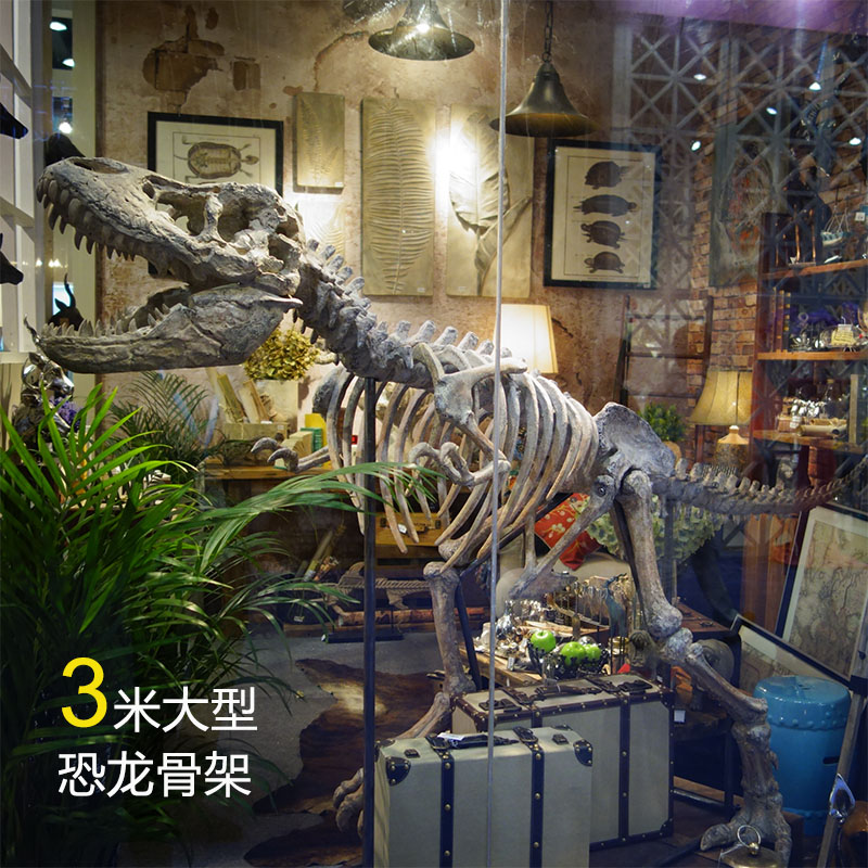 仿真霸王龙骨架恐龙化石模型雕像大型橱窗落地摆件博物馆科普道具