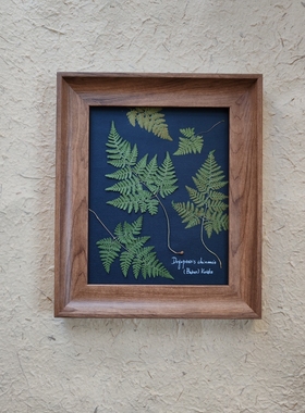 原创植物标本画，蕨类植物居家饰品生日礼物