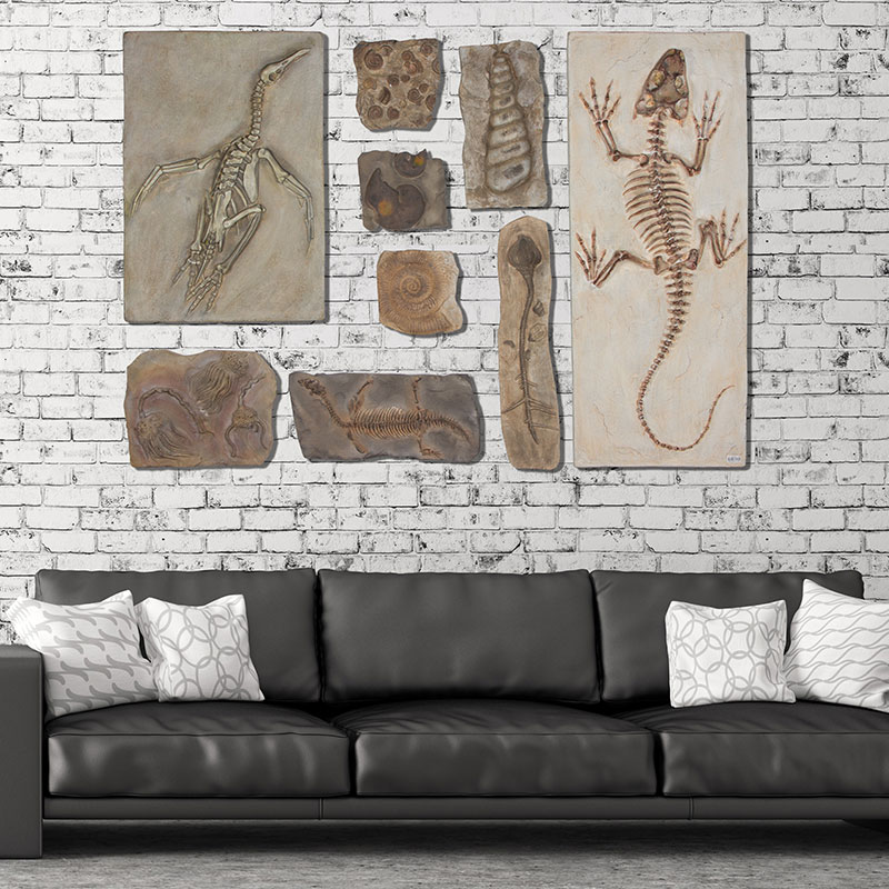 仿真化石创意影视道具服装店会所酒吧咖啡店背景墙面装饰壁饰挂件
