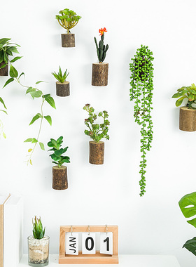仿真多肉实木树桩组和背景墙饰壁饰创意简约立体植物挂饰墙面植物