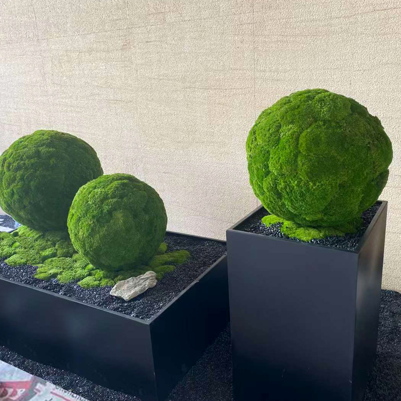 永生苔藓球景观绿植球草球创意橱窗陈列咖啡厅服装店酒店场地摆件