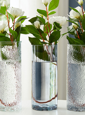 轻奢描金玻璃花瓶特大号水养鲜花插花器简约现代透明客厅装饰摆件