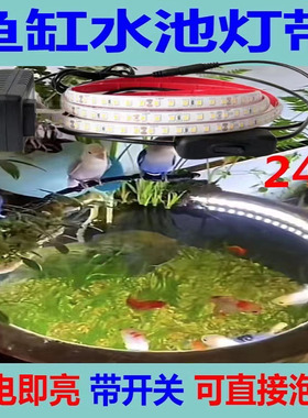 鱼缸水池专用24V泡水防水LED灯带实心灌胶水下照明低压灯带条自粘