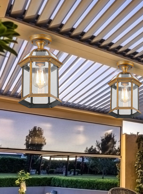 玻璃阳光房专用吸顶灯户外防晒雨棚顶灯简约室外车棚庭院照明LED