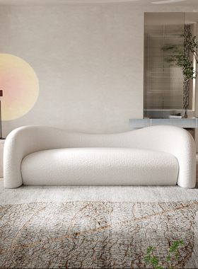 大波家羊羔绒网红沙发设计师民宿客厅现代简约新款异型布艺小沙发