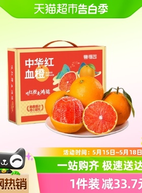 中华红血橙5斤装新鲜应季新鲜水果酸甜多汁包邮12枚手提礼盒