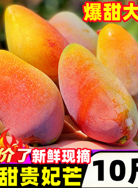 海南贵妃芒果10斤整箱新鲜水果礼盒当季热带树上熟金玉青煌台芒果