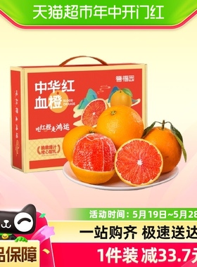 中华红血橙5斤装新鲜应季新鲜水果酸甜多汁包邮12枚手提礼盒