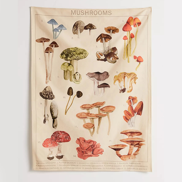 外贸蘑菇图表挂毯墙壁装饰真菌学识别图墙上艺术波西米亚风背景布