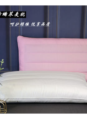 FUMI富米家纺 枕头枕芯单人枕 荞麦健康枕 双面荞麦74cm*48cm高枕