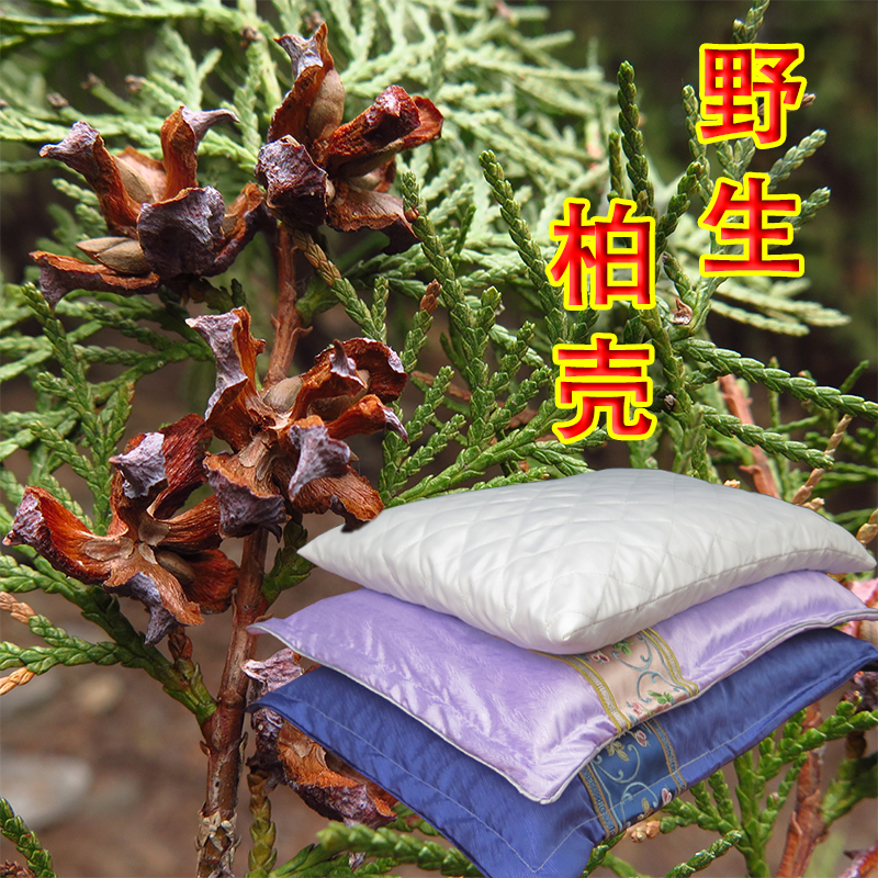 天然柏树籽壳成人枕头侧柏壳松树果壳枕芯填充物纯柏健康养生壳枕